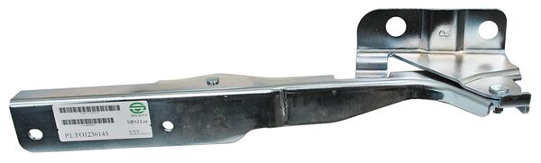 BISAGRA COFRE FORD PU 09-14 DER TW