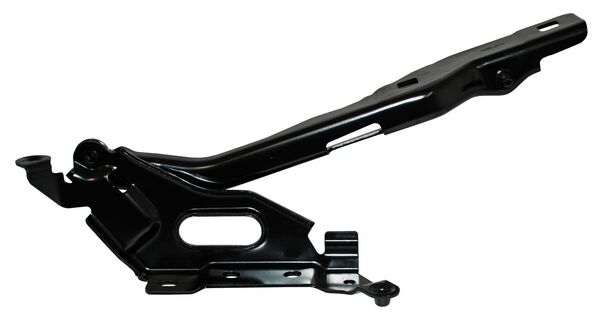 BISAGRA COFRE FORD PU 15-17 DER TW