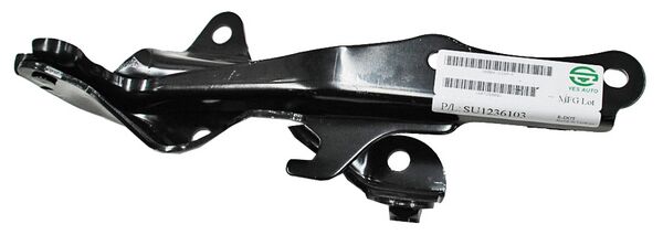 BISAGRA COFRE RENAULT EURO CLIO 07-09 DER