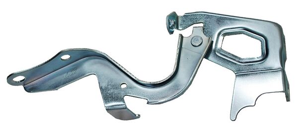 BISAGRA COFRE TOYOTA RAV-4 13-15 IZQ TW