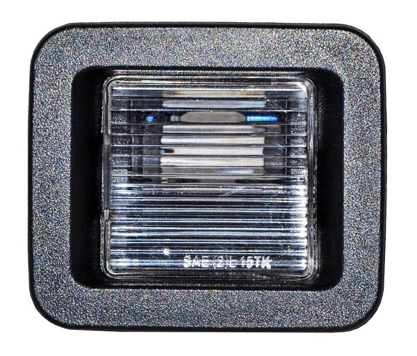 LUZ DE PLACA FORD PU 18-20 TW