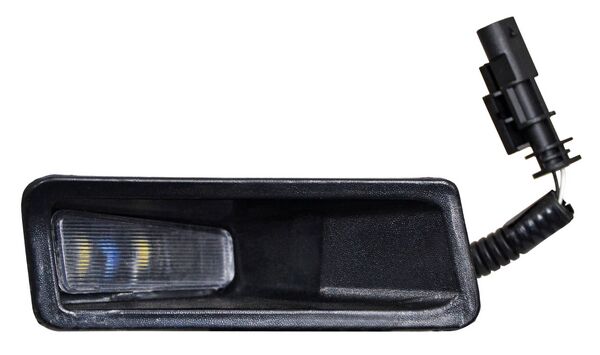 LUZ DE PLACA DODGE PU 19-20 RAM 1500 DER HGO TW
