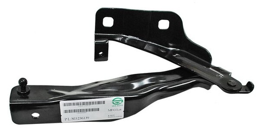 [654009N00B] BISAGRA COFRE NISSAN MAXIMA 09-15 DER TW