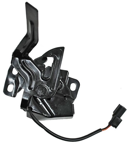 [74120SLNA02] CHAPA COFRE HONDA FIT 06-08 TW