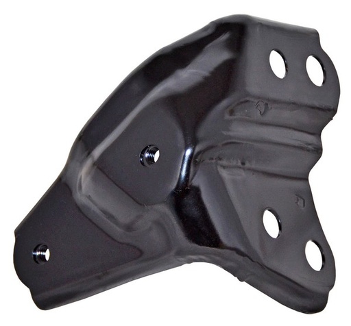 [GDTR419SR] GUIA SALPICADERA TOYOTA RAV4 19-20 DER TW