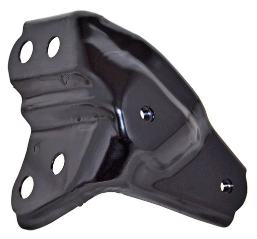 [GDTR419SL] GUIA SALPICADERA TOYOTA RAV4 19-20 IZQ TW