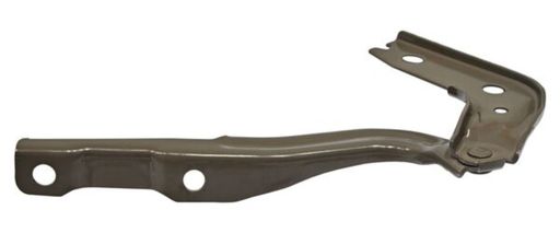 [BIMG-GT22-1] BISAGRA COFRE MG GT 2022 AL 2024 DER